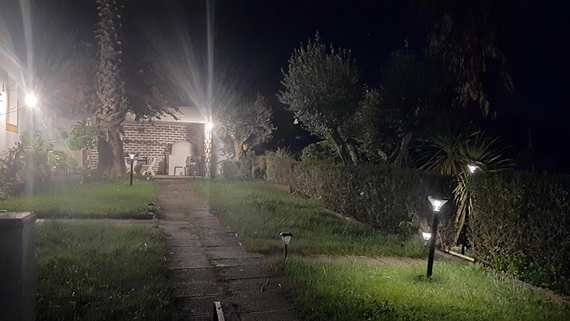 Casa Das 3 Palmeiras Arraiolos Exterior foto